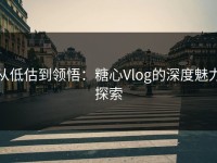 从低估到领悟：糖心Vlog的深度魅力探索