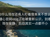 为什么现在还有人盯着我本来不想说，糖心官网vlog正在被重新认识，别看现在安静，后劲其实一点都不小