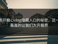 揭开糖心vlog隐藏入口的秘密，这一幕真的让我们大开眼界