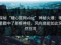 探秘“糖心官网vlog”神秘火爆：哪里戳中了那根神经，风向竟能如此突然拐弯