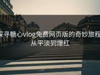 探寻糖心vlog免费网页版的奇妙旅程：从平淡到爆红