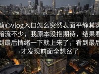 糖心vlog入口怎么突然表面平静其实暗流不少，我原本没抱期待，结果看到最后情绪一下就上来了，看到最后才发现前面全想岔了
