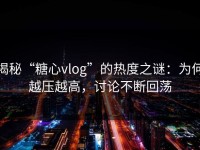揭秘“糖心vlog”的热度之谜：为何越压越高，讨论不断回荡