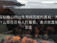 探秘糖心Vlog免费网页版的真相：为什么现在还有人盯着我，差点就直接划走