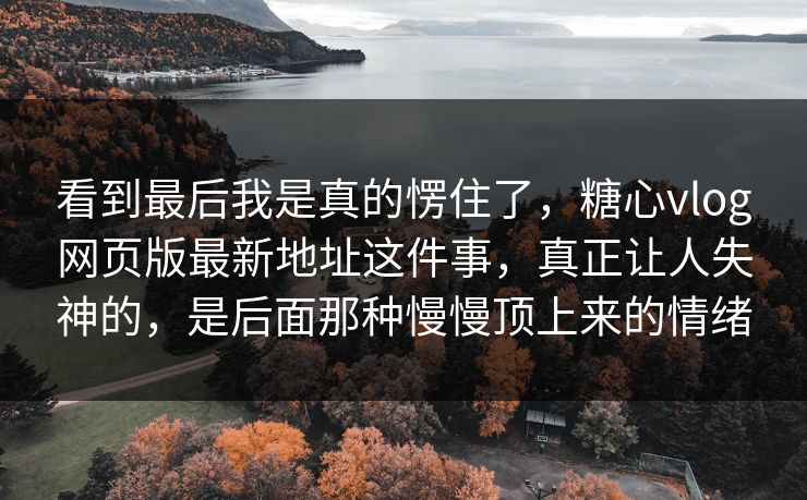 看到最后我是真的愣住了，糖心vlog网页版最新地址这件事，真正让人失神的，是后面那种慢慢顶上来的情绪