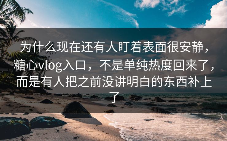 为什么现在还有人盯着表面很安静，糖心vlog入口，不是单纯热度回来了，而是有人把之前没讲明白的东西补上了