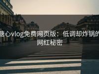 糖心vlog免费网页版：低调却炸锅的网红秘密