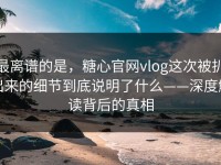 最离谱的是，糖心官网vlog这次被扒出来的细节到底说明了什么——深度解读背后的真相
