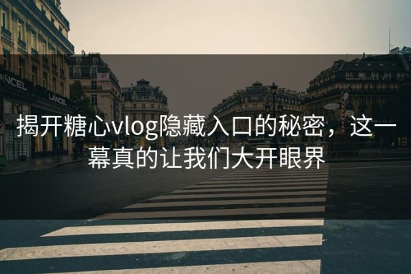 揭开糖心vlog隐藏入口的秘密，这一幕真的让我们大开眼界
