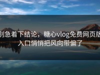 别急着下结论，糖心vlog免费网页版入口悄悄把风向带偏了