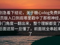 别急着下结论，关于糖心vlog免费网页版入口到底哪里戳中了那根神经，冷门角度一翻出来，整个理解都变了，后面这层一旦懂了，前面就全串起来了