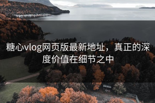 糖心vlog网页版最新地址，真正的深度价值在细节之中