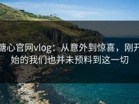 糖心官网vlog：从意外到惊喜，刚开始的我们也并未预料到这一切