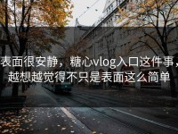表面很安静，糖心vlog入口这件事，越想越觉得不只是表面这么简单