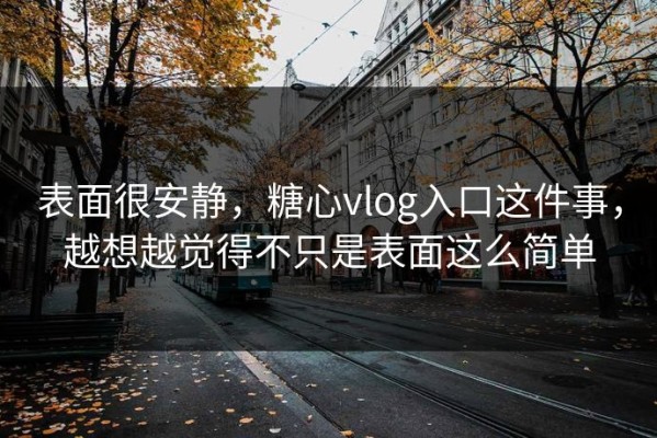 表面很安静，糖心vlog入口这件事，越想越觉得不只是表面这么简单