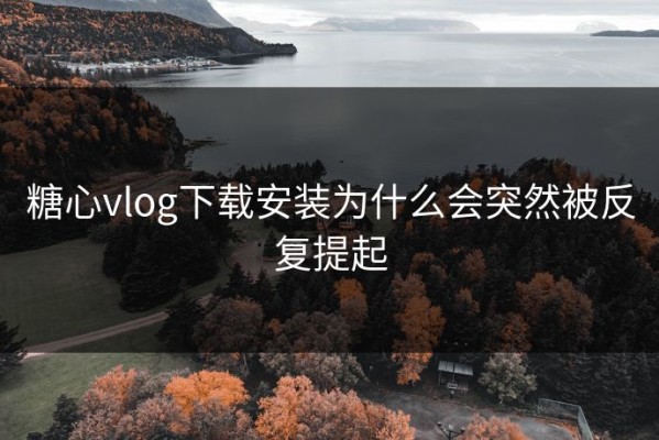 糖心vlog下载安装为什么会突然被反复提起