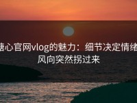 糖心官网vlog的魅力：细节决定情绪，风向突然拐过来