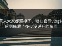 原来大家都漏掉了，糖心官网vlog背后到底藏了多少没说开的东西