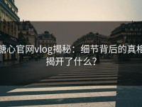 糖心官网vlog揭秘：细节背后的真相揭开了什么？
