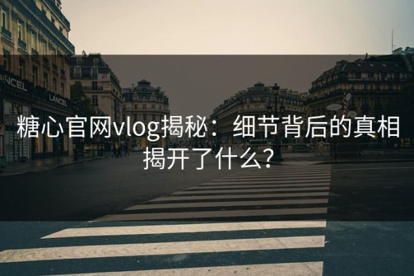 糖心官网vlog揭秘：细节背后的真相揭开了什么？
