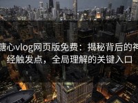 糖心vlog网页版免费：揭秘背后的神经触发点，全局理解的关键入口