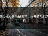 糖心vlog的隐秘世界：揭开背后的真相