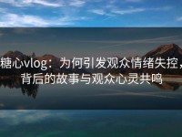 糖心vlog：为何引发观众情绪失控，背后的故事与观众心灵共鸣