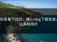 别急着下结论，糖心vlog下载安装，让真相揭开
