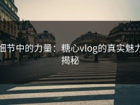 细节中的力量：糖心vlog的真实魅力揭秘