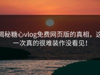 揭秘糖心vlog免费网页版的真相，这一次真的很难装作没看见！