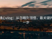 糖心vlog：从忽略到领悟，最关键的一步