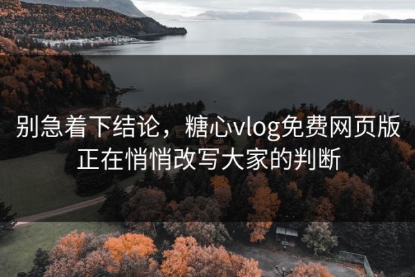 别急着下结论，糖心vlog免费网页版正在悄悄改写大家的判断