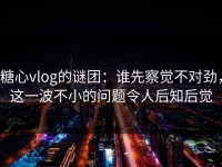 糖心vlog的谜团：谁先察觉不对劲，这一波不小的问题令人后知后觉