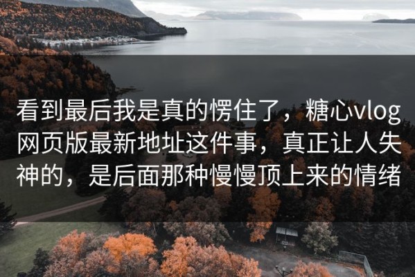 看到最后我是真的愣住了，糖心vlog网页版最新地址这件事，真正让人失神的，是后面那种慢慢顶上来的情绪