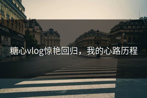 糖心vlog惊艳回归，我的心路历程
