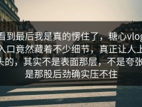 看到最后我是真的愣住了，糖心vlog入口竟然藏着不少细节，真正让人上头的，其实不是表面那层，不是夸张，是那股后劲确实压不住