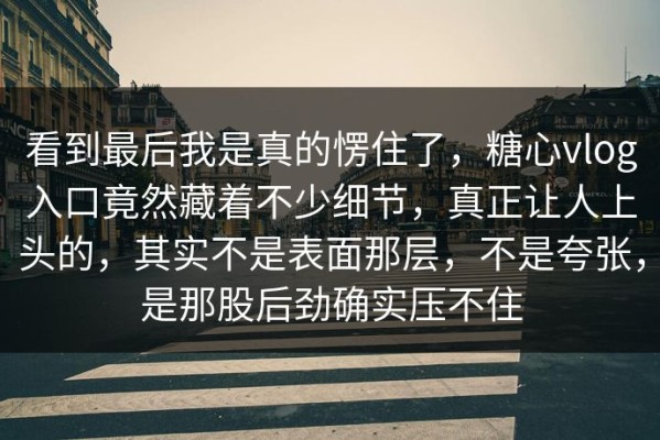 看到最后我是真的愣住了，糖心vlog入口竟然藏着不少细节，真正让人上头的，其实不是表面那层，不是夸张，是那股后劲确实压不住