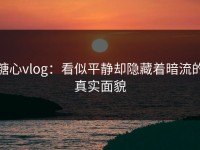 糖心vlog：看似平静却隐藏着暗流的真实面貌