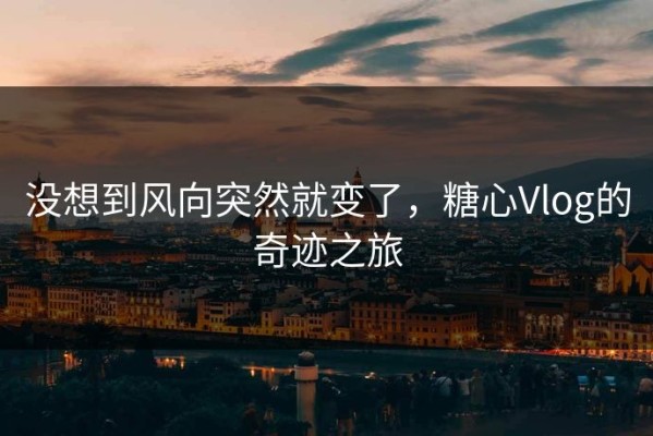 没想到风向突然就变了，糖心Vlog的奇迹之旅
