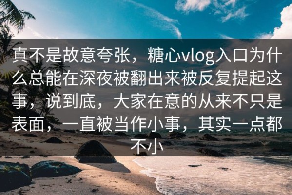 真不是故意夸张，糖心vlog入口为什么总能在深夜被翻出来被反复提起这事，说到底，大家在意的从来不只是表面，一直被当作小事，其实一点都不小