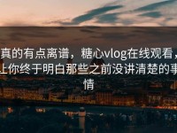 真的有点离谱，糖心vlog在线观看，让你终于明白那些之前没讲清楚的事情