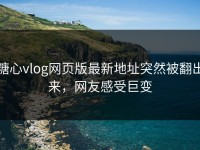 糖心vlog网页版最新地址突然被翻出来，网友感受巨变
