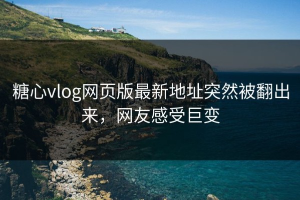 糖心vlog网页版最新地址突然被翻出来，网友感受巨变