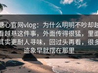 糖心官网vlog：为什么明明不吵却越看越悬这件事，外面传得很猛，里面其实更耐人寻味，回过头再看，很多迹象早就摆在那里