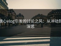 糖心vlog引发的讨论之风：从冲动到深思