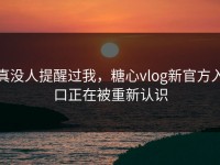 真没人提醒过我，糖心vlog新官方入口正在被重新认识