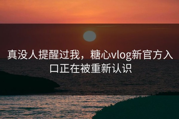 真没人提醒过我，糖心vlog新官方入口正在被重新认识
