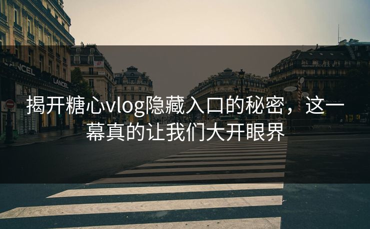 揭开糖心vlog隐藏入口的秘密，这一幕真的让我们大开眼界