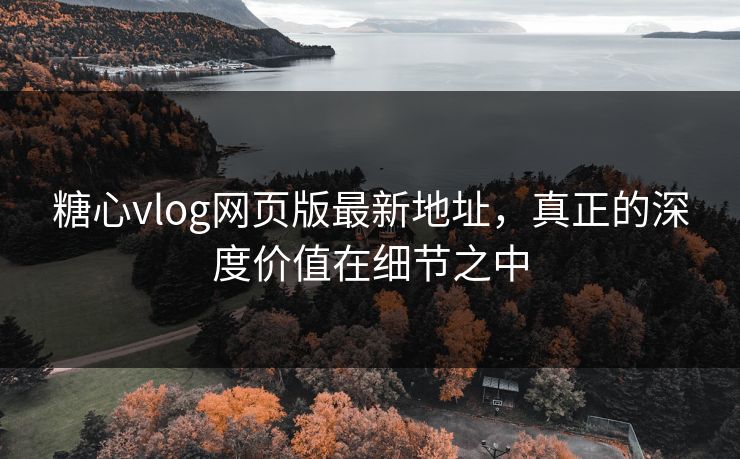糖心vlog网页版最新地址，真正的深度价值在细节之中