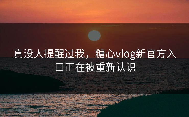 真没人提醒过我，糖心vlog新官方入口正在被重新认识